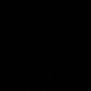 Meet your Posher, Irene